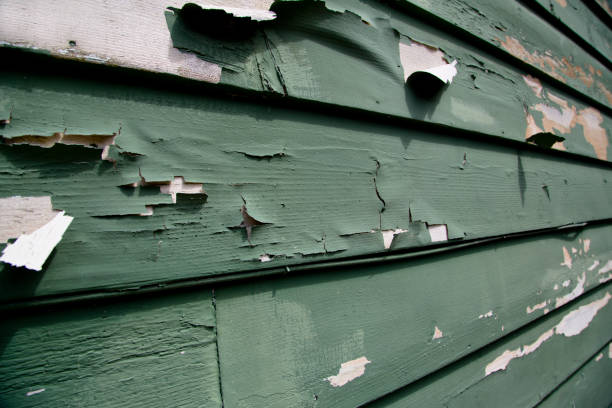 Best Steel Siding Installation  in Bessemer City, NC
